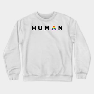 Human Humankind Pride Straight Ally Flag Crewneck Sweatshirt